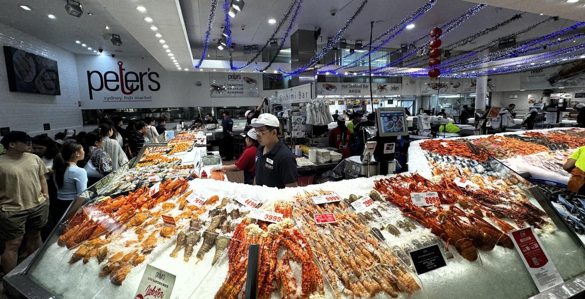 Poor selfie at the harbor